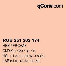 Farbcode: RGB 251 202 174 | qconv.com