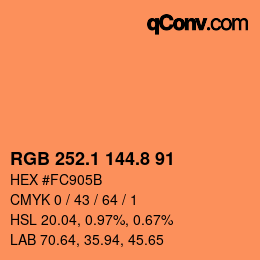 カラーコード: RGB 252.1 144.8 91 | qconv.com