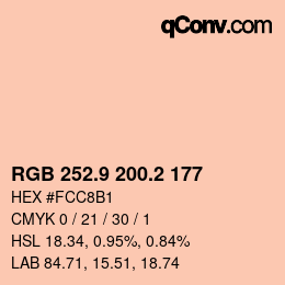 カラーコード: RGB 252.9 200.2 177 | qconv.com