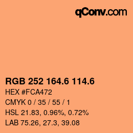 カラーコード: RGB 252 164.6 114.6 | qconv.com