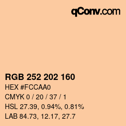Color code: RGB 252 202 160 | qconv.com