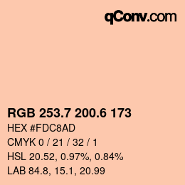カラーコード: RGB 253.7 200.6 173 | qconv.com