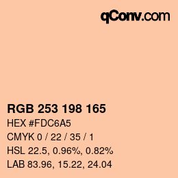 Color code: RGB 253 198 165 | qconv.com