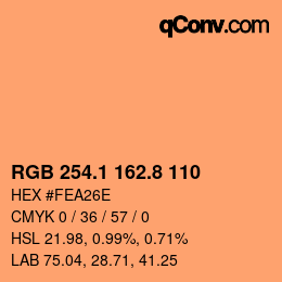 カラーコード: RGB 254.1 162.8 110 | qconv.com