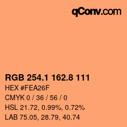 Color code: RGB 254.1 162.8 111 | qconv.com
