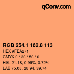 Code couleur: RGB 254.1 162.8 113 | qconv.com