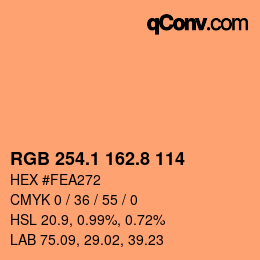 Color code: RGB 254.1 162.8 114 | qconv.com