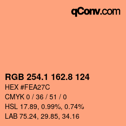 Color code: RGB 254.1 162.8 124 | qconv.com