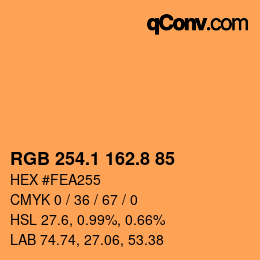 Color code: RGB 254.1 162.8 85 | qconv.com