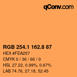 Color code: RGB 254.1 162.8 87 | qconv.com