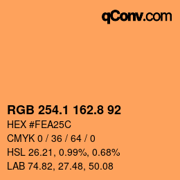 Color code: RGB 254.1 162.8 92 | qconv.com