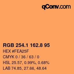 Color code: RGB 254.1 162.8 95 | qconv.com