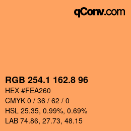 Color code: RGB 254.1 162.8 96 | qconv.com