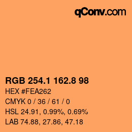Color code: RGB 254.1 162.8 98 | qconv.com