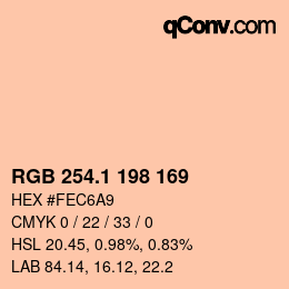 Color code: RGB 254.1 198 169 | qconv.com