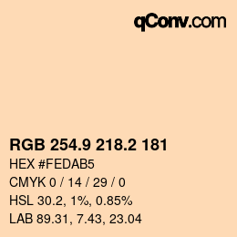Color code: RGB 254.9 218.2 181 | qconv.com