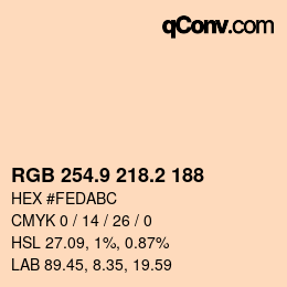 Color code: RGB 254.9 218.2 188 | qconv.com