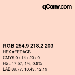 Color code: RGB 254.9 218.2 203 | qconv.com