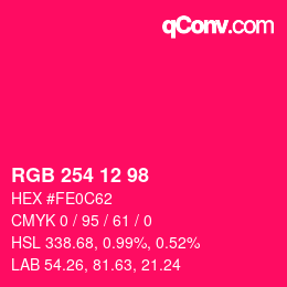 Color code: RGB 254 12 98 | qconv.com