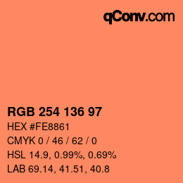 Color code: RGB 254 136 97 | qconv.com