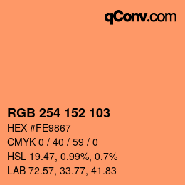 Color code: RGB 254 152 103 | qconv.com