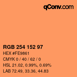 カラーコード: RGB 254 152 97 | qconv.com