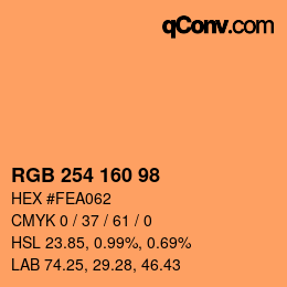 Color code: RGB 254 160 98 | qconv.com