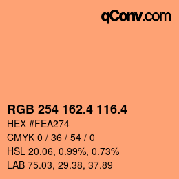 カラーコード: RGB 254 162.4 116.4 | qconv.com