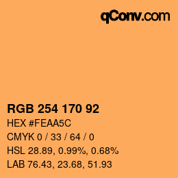 カラーコード: RGB 254 170 92 | qconv.com