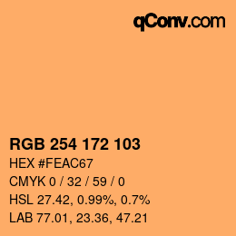 Color code: RGB 254 172 103 | qconv.com