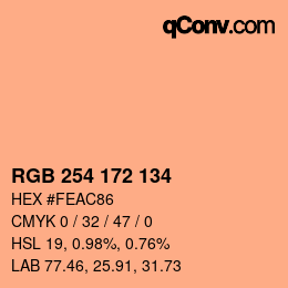 Color code: RGB 254 172 134 | qconv.com