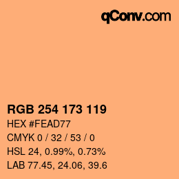 颜色代码: RGB 254 173 119 | qconv.com