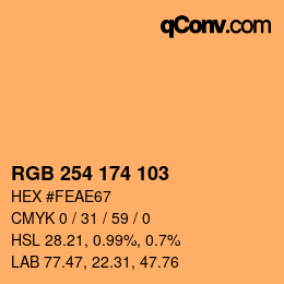 Color code: RGB 254 174 103 | qconv.com