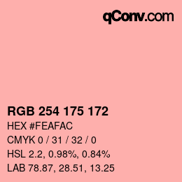 Color code: RGB 254 175 172 | qconv.com
