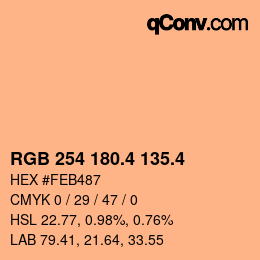 カラーコード: RGB 254 180.4 135.4 | qconv.com
