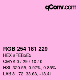 Color code: RGB 254 181 229 | qconv.com