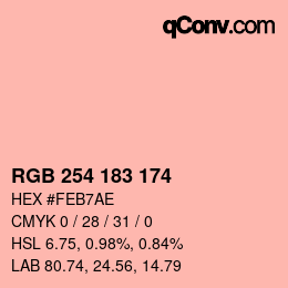 Color code: RGB 254 183 174 | qconv.com