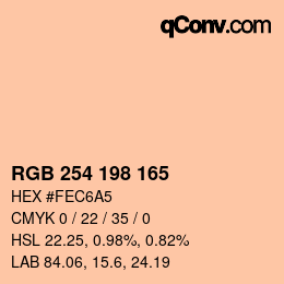 Color code: RGB 254 198 165 | qconv.com