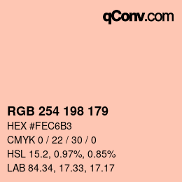 Color code: RGB 254 198 179 | qconv.com