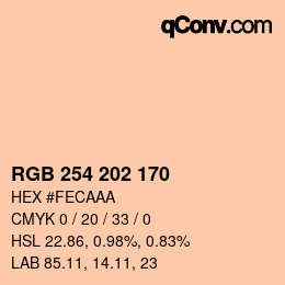 カラーコード: RGB 254 202 170 | qconv.com