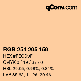 Color code: RGB 254 205 159 | qconv.com