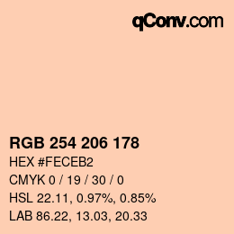 カラーコード: RGB 254 206 178 | qconv.com