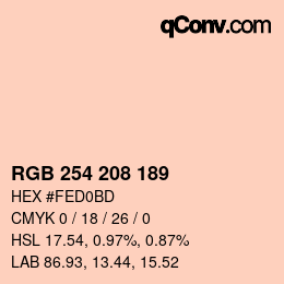 Color code: RGB 254 208 189 | qconv.com