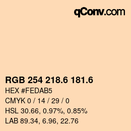 カラーコード: RGB 254 218.6 181.6 | qconv.com