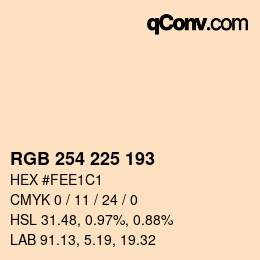 Color code: RGB 254 225 193 | qconv.com