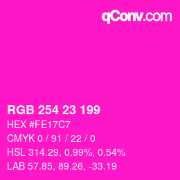 Color code: RGB 254 23 199 | qconv.com