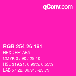 Color code: RGB 254 26 181 | qconv.com