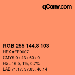 Color code: RGB 255 144.8 103 | qconv.com