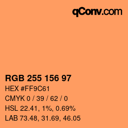 Color code: RGB 255 156 97 | qconv.com