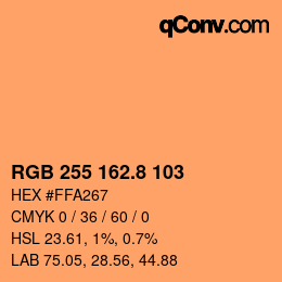 Color code: RGB 255 162.8 103 | qconv.com